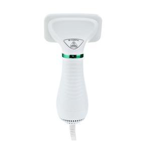 Pet Cat And Dog Hair Dryer Hair Comb Two In One Hot Wind Portable Hair Dryer Pet Comb Brush Low Noise-white