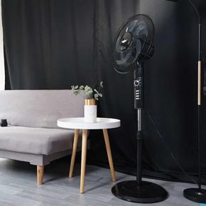JadRoo Pedestal Fan