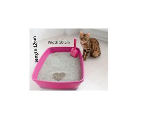 Cat Litter Box With Scop Small Size