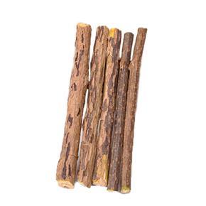 Cat Cleaning Teeth Natural Catnip Pet Cat Molar Toothpaste Cat Snacks Sticks