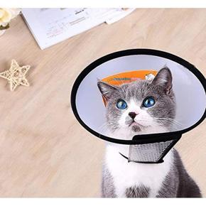 Elizabethan E-Collars For Cats Size No-6