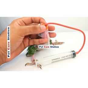 10ml Baby Bird Cockatiel Budgie Parrot Pet Hand Rearing Feeding Syringes Crop Tubes