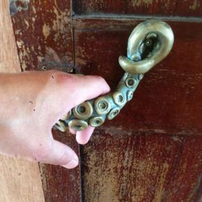 Drawer Shelf Pulls-1 * Octopus door handle-brown