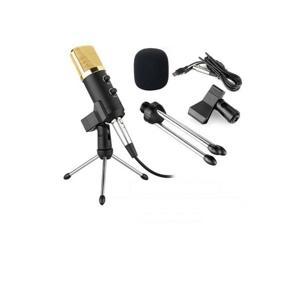 BM-100FX Condenser Microphone